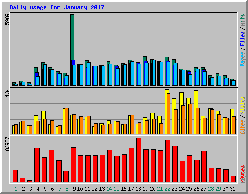 Daily usage for January 2017