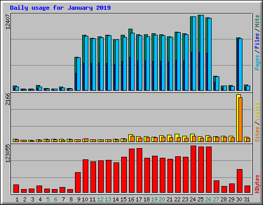 Daily usage for January 2019