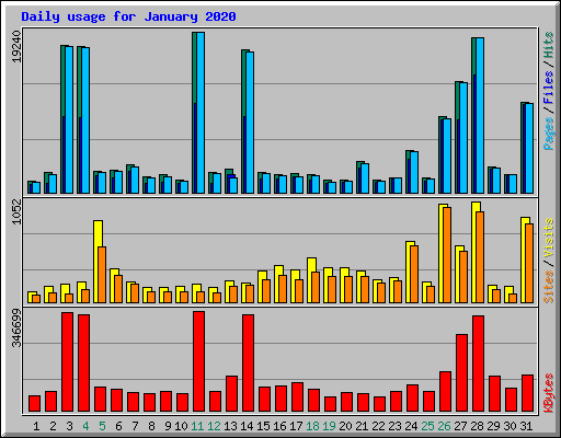 Daily usage for January 2020
