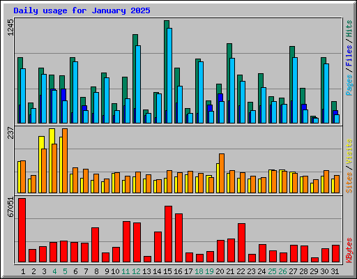 Daily usage for January 2025