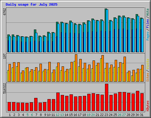 Daily usage for July 2025