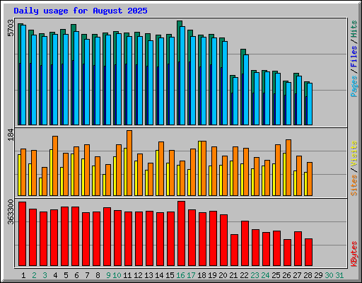 Daily usage for August 2025