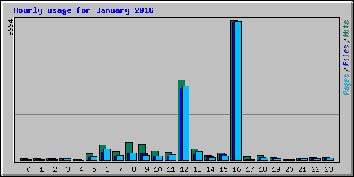 Hourly usage for January 2016