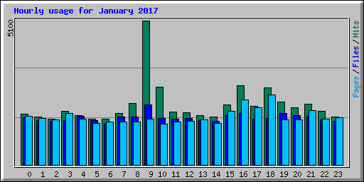 Hourly usage for January 2017