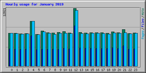 Hourly usage for January 2019