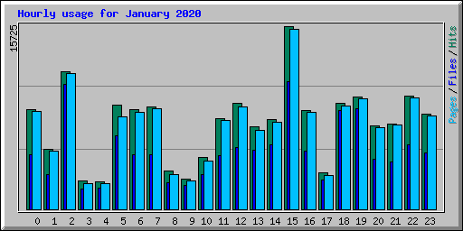 Hourly usage for January 2020