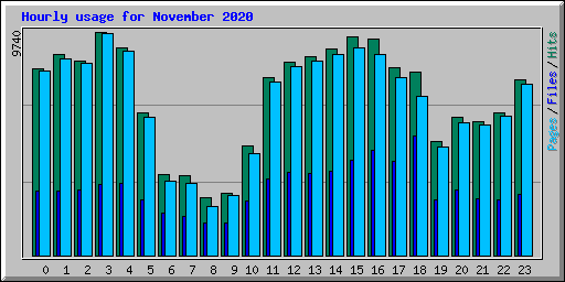 Hourly usage for November 2020