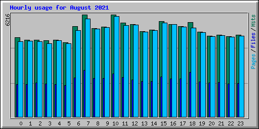 Hourly usage for August 2021