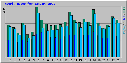 Hourly usage for January 2022
