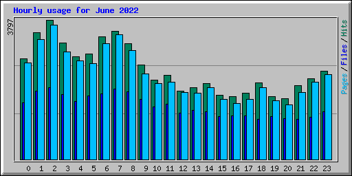 Hourly usage for June 2022