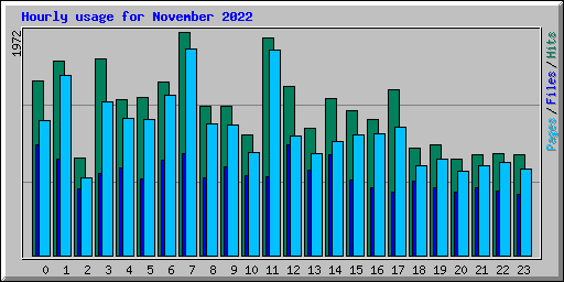 Hourly usage for November 2022