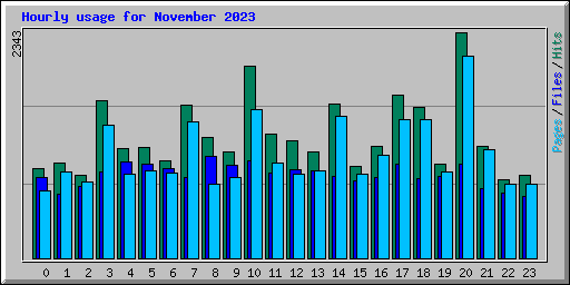 Hourly usage for November 2023