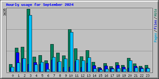 Hourly usage for September 2024
