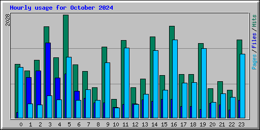 Hourly usage for October 2024
