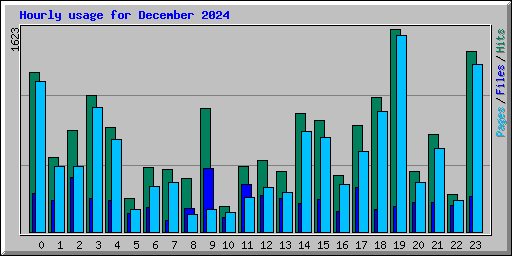 Hourly usage for December 2024