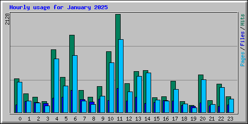 Hourly usage for January 2025