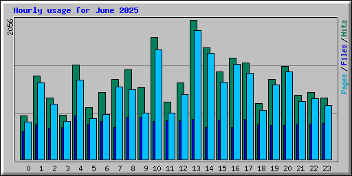 Hourly usage for June 2025