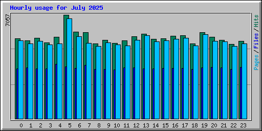 Hourly usage for July 2025
