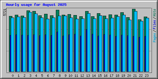 Hourly usage for August 2025