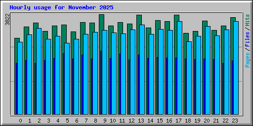 Hourly usage for November 2025