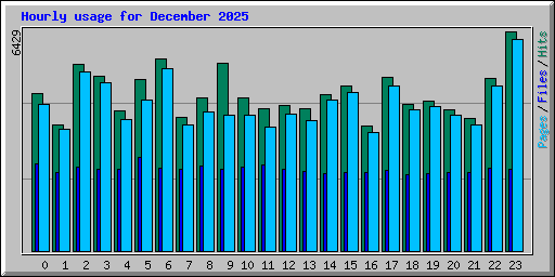 Hourly usage for December 2025
