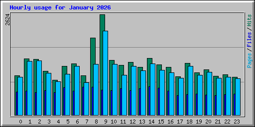 Hourly usage for January 2026