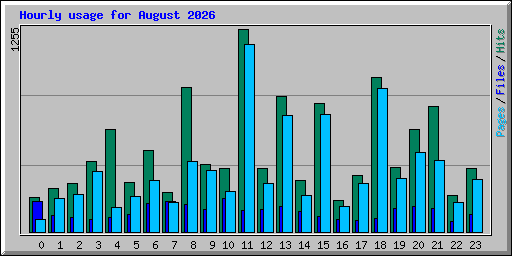 Hourly usage for August 2026